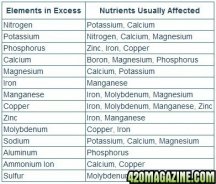 Nutrient-Lockout-Chart-from-Excess-Nutrients11.jpg