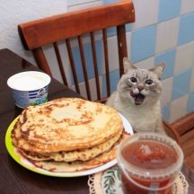 Can I has a pancake.jpg