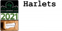 CLG-HARLETS_label_rectangle.png