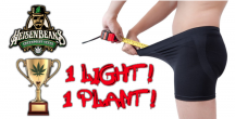 1-light_1-plant.png