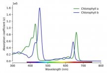 chlorophyll-spectrum-600x409.jpeg