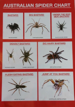 Spider Bastards Eddition.png