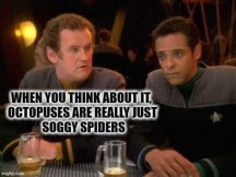 Soggy Spiders.jpg