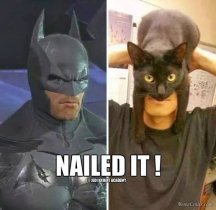 CatMan.jpg