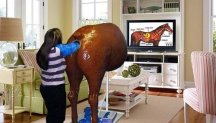 Horse Simulator 5000.jpg