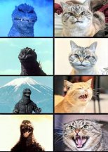 Godzilla MeowMeow Eddition.jpg