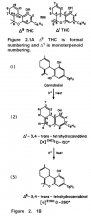 cannabis-alchemy-21.jpg