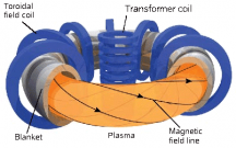 Schematic-of-a-Tokamak-fusion-reactor-Source-Fusion-for-energy.ppm.png