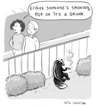 smokin_skunk.jpg