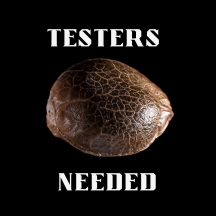 TESTERS NEEDED.png