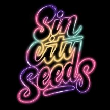 SinCity-Neon-Logo.jpg