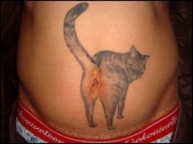 Cat_Ass_Navel_Tattoo_original.0.jpg