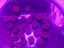 20250106_105057.jpg