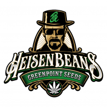 logo Heisen Beans.png