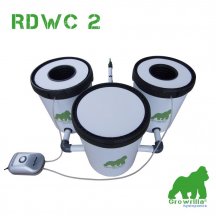 RDWC2-800x800.jpg
