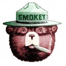 smokeybear.jpg