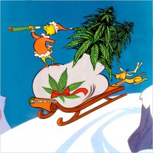 grinch-marijuana-sled-christmas-pic.jpg
