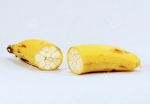 ripe-banana-garlic-white-background-close-up-39104705.jpg