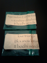 Love Triangle & Tigermelon 2 freebie.png