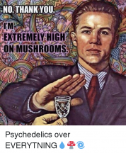 no-thank-you-im-extremely-high-on-mushrooms-psychedelics-over-14010581.png