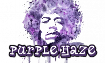 purple haze_rectangle.png