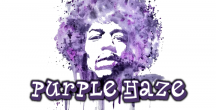 purple haze_label_rectangle.png