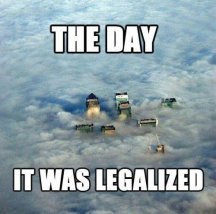The-Day-It-Was-Legalized-Funny-Weed-Image.jpg