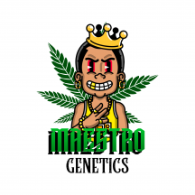 Maestro Genetics.png