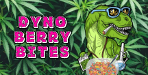 Dyno-Berry-Bites_label_rectangle.png