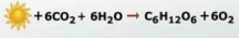 chemical-equation-for-photosynthesis~2.jpg