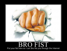 Interwebz bro fist.PNG