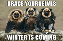 brace-yourselves-winter-is-coming pugs.png
