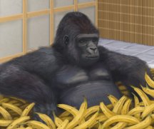 Gorilla Tub 5000.jpg