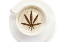 weedcoffeeFB.0.0.jpg