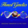 HonestGenetics