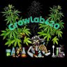 Growlab420